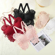 Beautiful Butterfly Style Push-Up Paded Bra Imported Quality